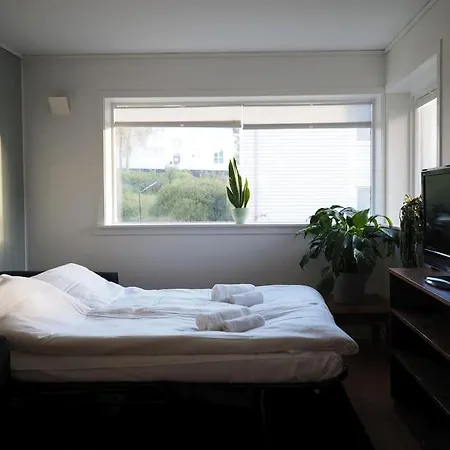 Apartman 500m To Light Rail, Street Parking, Flex Check-in Bergen